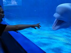 -多彩贵州城极地海洋世界