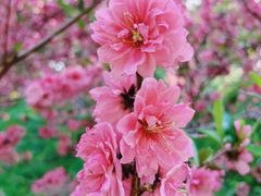 -陶然亭公园