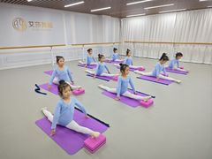 -艾莎舞蹈(中南大厦校区)