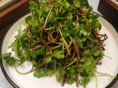 香椿苗拌豆腐丝-北平盛世·新京菜·北京烤鸭(劲松·双井店)