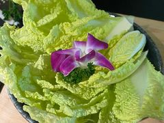 -新草堂锅物料理(泉城路店)