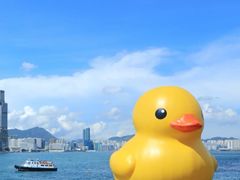 -深圳人才公园