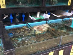 水产区-茂港柏香(侨港路店)