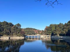 -望庐说·本地菜馆