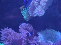 -太平洋海底世界