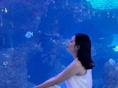 -沙沙哗啦海洋馆(华宇百花谷店)