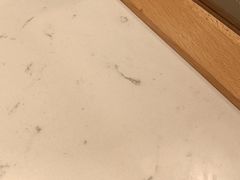 -大榕树下顺德菜(融创茂店)