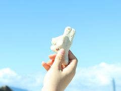 -三亚蜈支洲岛旅游区