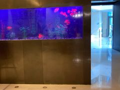 -听松楼·花园酒店·自助餐厅(红梅公园店)
