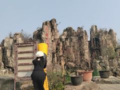 -秀丽东方