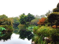 -西溪国家湿地公园