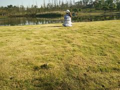 -白鹭湾湿地公园