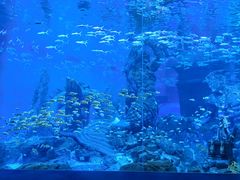 -哈尔滨波塞冬海底世界