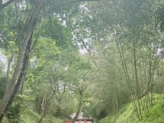 -上海方塔园