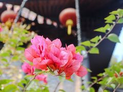 -杭州上天竺法喜讲寺
