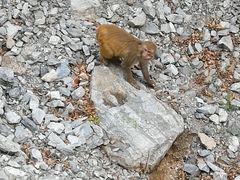 -北京上方山国家森林公园