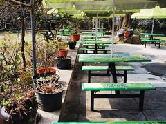 -绿野餐厅(上海动物园店)