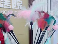 -美联众合爱康动物医院•复杂内科•肿瘤科•牙科•腔镜诊疗中心