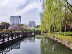 -桐乡植物园