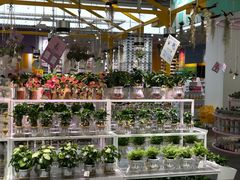 -KKV(深圳宏发大仟里店)