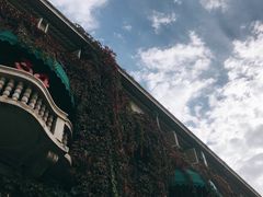 -成桂西餐厅·42年的味道(五大道疙瘩楼店)