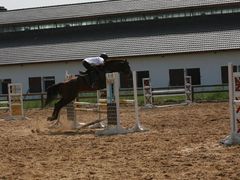 -松声马术俱乐部