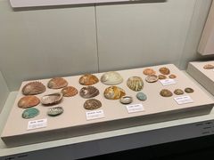 -大连自然博物馆