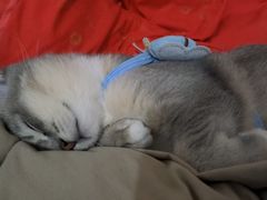 -老灶房-四川土菜(铁牛广场店)