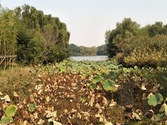 -昆山城市生态森林公园