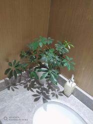 -苑苑vbeauty科技美容SPA