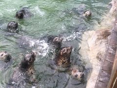 -华夏文旅西安度假区