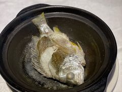 油盐焗海立鱼-百味馆·海鲜·湛江菜(后海花园店)