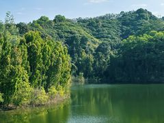 -阳台山森林公园