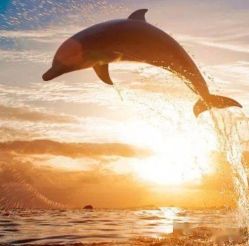 -薇兰专业脱毛连锁机构