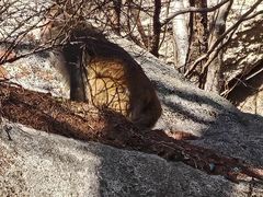 -崂山巨峰游览区