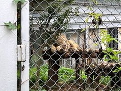 -合肥野生动物园