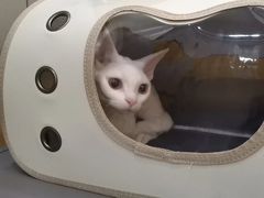 -美联众合动物医院·24h转诊中心