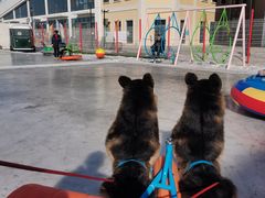 -丁香湖丁香小镇Citypark滑雪公园戏雪嘉年华