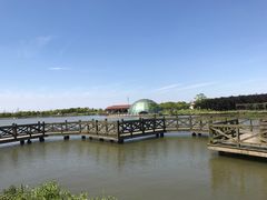 -上海都市菜园