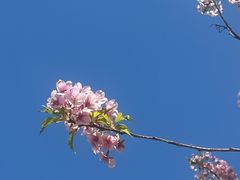 -新江湾城公园