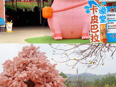 -盈香心动乐园