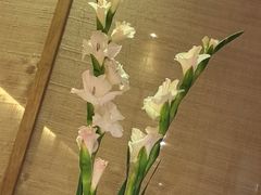 -菩提素素食餐厅(晶郦馆店)