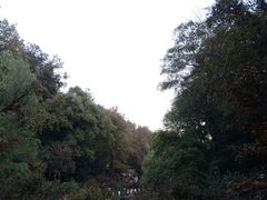 -岳麓山风景名胜区