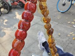 -和禄德冰糖葫芦