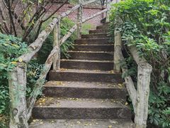 -南山植物园