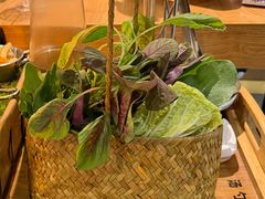 -一朵菌·野生菌探索家火锅(南亚店)