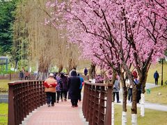 -沐仙湖湿地公园