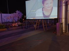 -千岛蚝高压锅生蚝·人参火锅(白云万达店)