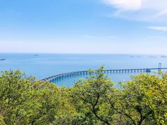 -星海湾跨海大桥