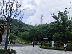 -杭州开元森泊度假乐园